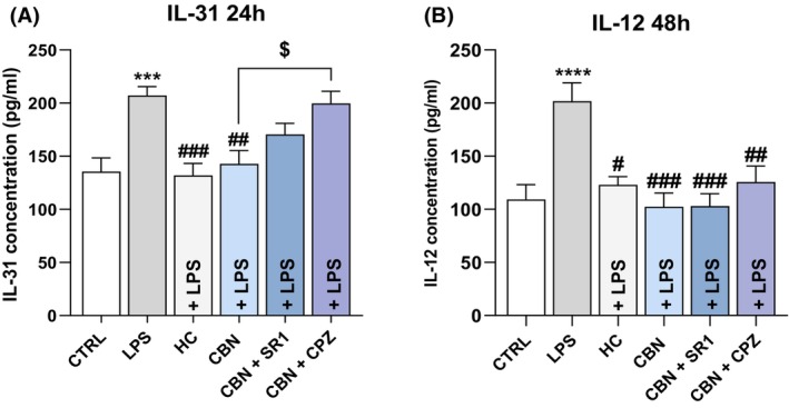 Release of ILs after HaCaT cells exposure to 5.0 μg/mL LPS, 10 μM HC, 2.5 μM CBN alone or in combination with the two selective antagonists for CB1 (SR1 at 0.1 μM) and TRPV1 (CPZ at 5.0 μM). (A) IL‐31 expression (pg/mL) after 24 h treatment and (B) IL‐12 expression (pg/mL) after 48 h treatment. Data are presented as the mean ± SEM of three independent experiments (n = 3). Statistical analysis was performed using a one‐way ANOVA test followed by a Bonferroni post hoc test (***p < 0.001, ****p < 0.0001 vs. CTRL; # p < 0.05, ## p < 0.01, ### p < 0.001 vs. LPS; $ p < 0.05 vs. CBN).
