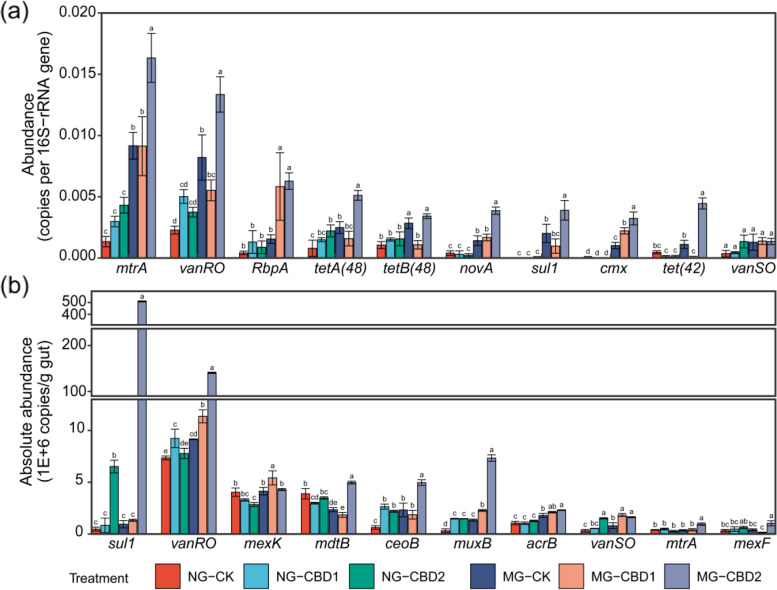 Abundance (a) and absolute abundance (b) of the dominant ARGs (top 10) in the earthworm gut among treatments. NG-CK, NG-CBD1, and NG-CBD2 represent the earthworm gut samples in the un-manured soil with 0, 1.0, and 2.0 mg kg−1 CBD, respectively. MG-CK, MG-CBD1, and MG-CBD2 represent the earthworm gut samples in the manured soil with 0, 1.0, and 2.0 mg kg−1 CBD, respectively