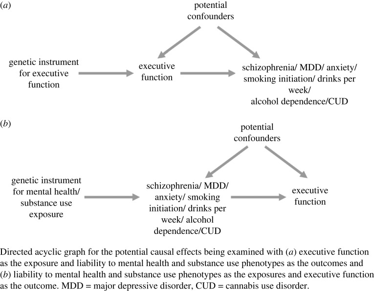 Bidirectional two-sample Mendelian randomization between a common cEF and liability to mental health and substance use outcomes.