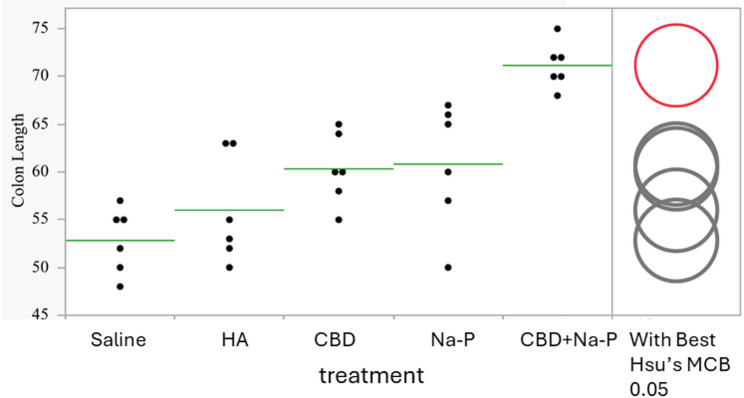 Distribution of individual colon length measurements by treatment group. Each dot represents one animal; horizontal lines indicate group means. Circles on the right denote results of Hsu’s Multiple Comparisons with the Best (MCB) analysis comparing the combination treatment with monotherapies (exploratory analysis). The circles on the right side of chart mark the statistically significant difference of the combined effect over those of the two single treatment effects