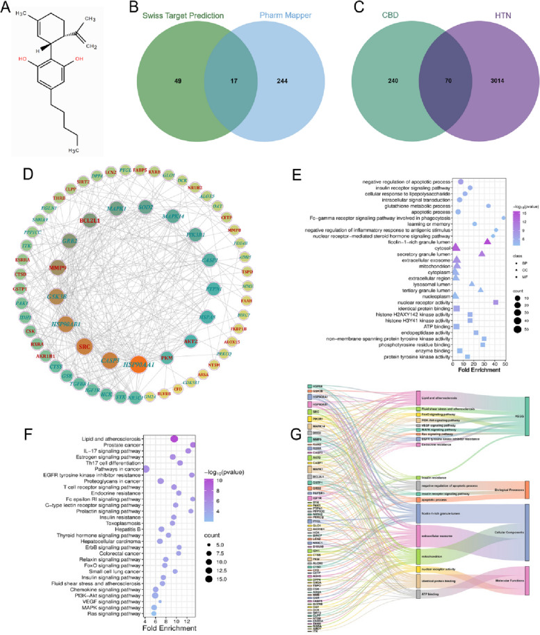 Identification of potential target proteins. A Chemical structure of CBD. B Venn diagram showing predicted target proteins from PharmMapper (green) and SwissTargetPrediction (blue). C Potential target proteins for CBD intervention in HTN. D PPI network of 70 potential targets. E GO enrichment analysis. F KEGG enrichment analysis. G Sankey diagram of enrichment results
