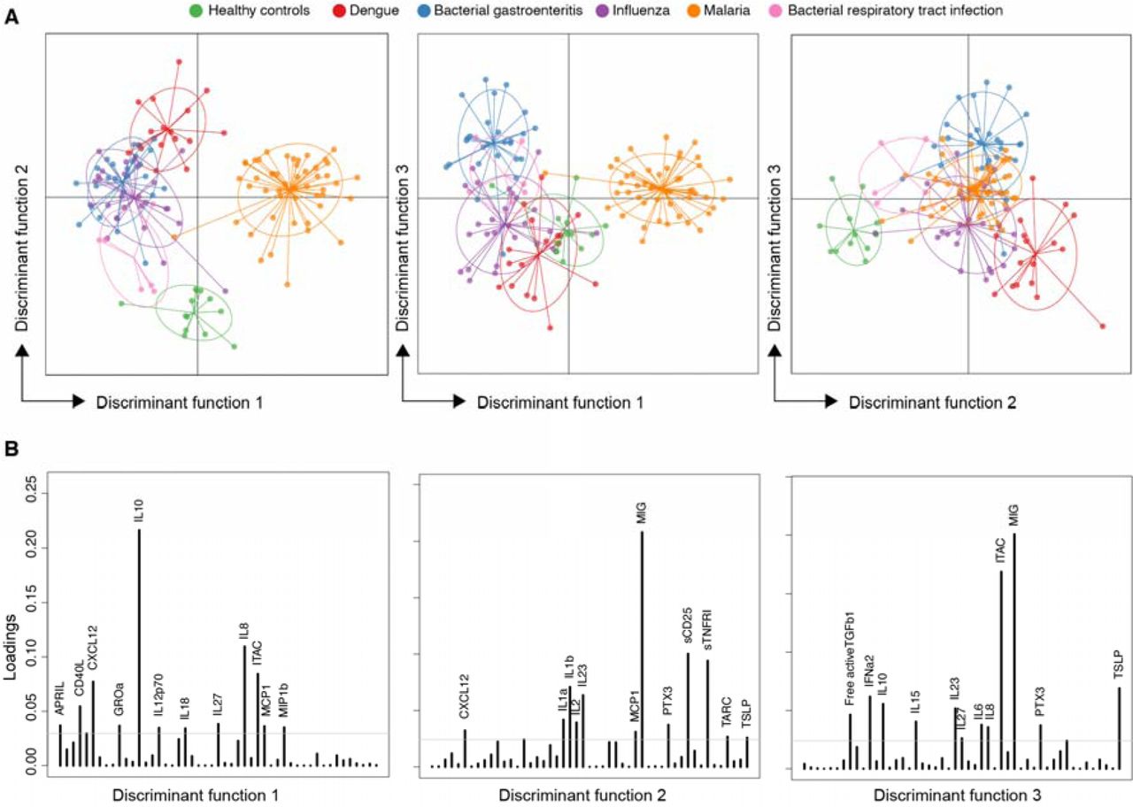 Analysis of marker profiles by discriminant analysis of principal components (DAPC).(A) DAPC scatter plots show the separation of groups based on discriminant functions 1-3. (B) Proteins associated with separation (loading plots) for each discriminant function. Loading cut-off set to 0.03. Additional data for discriminant functions 4 and 5 are presented in Supplementary Figure 5.