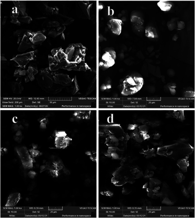 SEM microphotographs: (A) BIO-CD; (B) AD-CBD; (C) the physical mixture (AD-CBD: BIO-CD = 1:1), and (D) AD-CBD/BIO-CD inclusion complex.