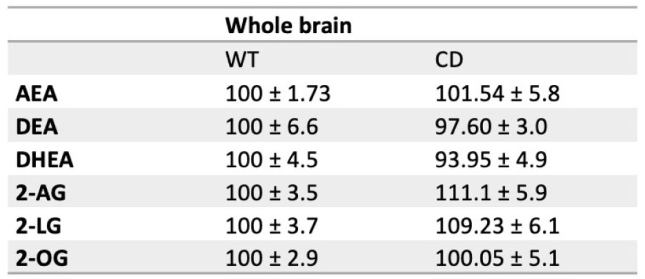 Relative levels of endocannabinoids and related compounds in whole brain homogenates of CD and WT. (WT, n=10; CD, n=11). Statistical significance was calculated by Student’s t-test. Data is expressed as mean ± S.E.M.