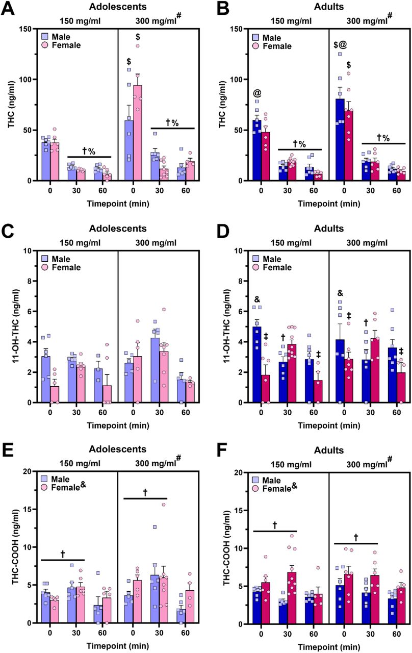 Time course of plasma THC and metabolites following 30-min vapor exposure session. (A,B) Plasma THC levels showed expected dose-dependent increases (post-hoc: #p<0.05, vs. CAN150 within age; $p<0.01, vs. CAN150 within sex and timepoint collapsed across age) and time-dependent decreases (post-hoc: †p<0.001, vs. 0 min timepoint within age and sex collapsed across dose; %p<0.001, vs. 0 min timepoint within sex and dose collapsed across age). Adult male mice, regardless of dose, reached higher plasma THC levels at the 0 min timepoint than their adolescent counterparts (post-hoc: @p<0.01, vs. adolescent males within timepoint collapsed across dose). (C,D) Adult male mice reached a significantly higher and earlier peak in plasma 11-OH-THC levels at the 0 min timepoint (post-hoc: &p<0.01, vs. adult females at the 0 min timepoint collapsed across dose; †p<0.05, vs. 0 min timepoint within adult males collapsed across dose) compared to females who reached their peak at the 30 min timepoint (post-hoc: ‡p<0.05, vs. 30 min timepoint within adult females collapsed across dose). No significant sex differences were seen for plasma 11-OH-THC levels in adolescent mice. (E,F) Females reached higher plasma THC-COOH levels compared to males (main effect of Sex: &p<0.001). Mice exposed to 300mg/ml cannabis vapor had higher levels of THC-COOH compared to those exposed to the lower dose (main effect of Dose: #p<0.05). A significant main effect of Timepoint indicated that plasma levels of THC-COOH significantly dropped off at 60-min relative to the 0-min and 30-min timepoints (post-hoc: †p<0.05, vs. 60 min timepoint).