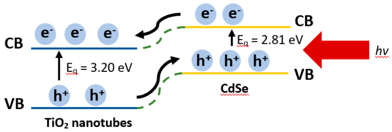 Schematic diagram representing the carrier transfer processes between CdSe and TiO2 nanotube thin films upon the solar light illumination. (CB and VB refer to the energy levels of the conduction and valence bands for the CdSe and TiO2, respectively.)