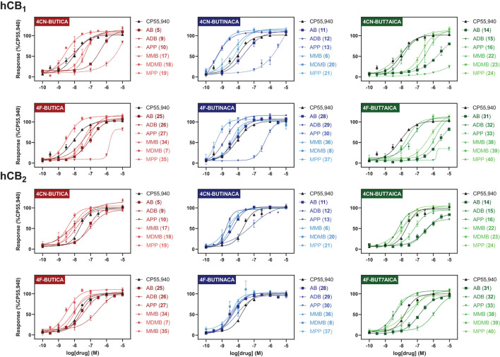 Functional activities of compounds 5–40 at hCB1 and hCB2, relative to CP55,940. Efficacies are normalised to maximal response of 1 μM CP55,940. Vertical sets indicate the same heterocyclic core (left = indole; centre = indazole; right = 7-azaindole). Graphs are grouped by tail, with rows indicating alkyl tails, either 4-cyanobutyl (rows 1 and 3), or 4-fluorobutyl (rows 2 and 4). Dashed lines indicate where curve could not be fit. Data is expressed as means ± SEM from 3 to 6 independent experiments.