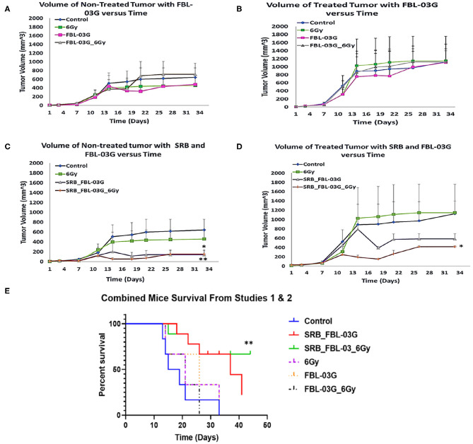 In-vivo treatment of C57BL/6 mice. Mice were inoculated with 50 μL of KPC cells in PBS suspension at concentrations of 5 × 104 pancreatic cancer cells, on each left and right flank of mouse using a 22-Gauge syringe. When right side tumors reached palpable size, mice were randomized and treatments were administered. Mice were observed at least twice per week and tumor measurements were performed using precision calipers at least once per week. The abscopal effect was examined by monitoring the non-treated tumor. Smart radiotherapy biomaterials (SRB) loaded with FBL-03G (100 μg) significantly boosts the abscopal effect in pancreatic cancer slowing down tumor growth for both treated and untreated tumors. Two experiments were conducted simultaneously: Study 1 results are shown in graphs (A–D) and combined survival results for study 1 and study 2 results are displayed in (E). (A) Volumes of non-treated tumors over time without SRB (n = 3 for each cohort). (B) Volumes of treated tumors over time (n = 3 for each cohort). (C) Volume of non-treated tumors over time with SRB and FBL-03G (n = 3 for control and 6Gy cohorts respectively; n = 4 for SRB loaded with FBL-03G with/without radiotherapy cohorts respectively). (D) Volume of treated tumors over time for cohorts treated with SRB and FBL-03G (n = 3 for control and 6 Gy cohorts respectively; n = 4 for SRB loaded with FBL-03G with/without radiotherapy cohorts respectively). (E) Survival results show significant increase in survival for cohorts treated with SRB loaded with FBL-03G (each n = 9) compared to control (n = 6), 6Gy/FBL-03G/FBL-03G_6Gy (each n = 3). For Statistical Analyses (*P < 0.05; **P < 0.01) Student's T-Test was used for comparing the volumes of tumors for each treatment group versus those of the control group with no additional corrections, and Log-rank (Mantel-Cox) was used for the survival graphs.