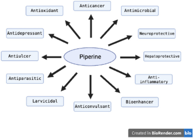 Schematic illustration of Piperine with therapeutic interventions. This image was created under a Creative Commons license using BioRender