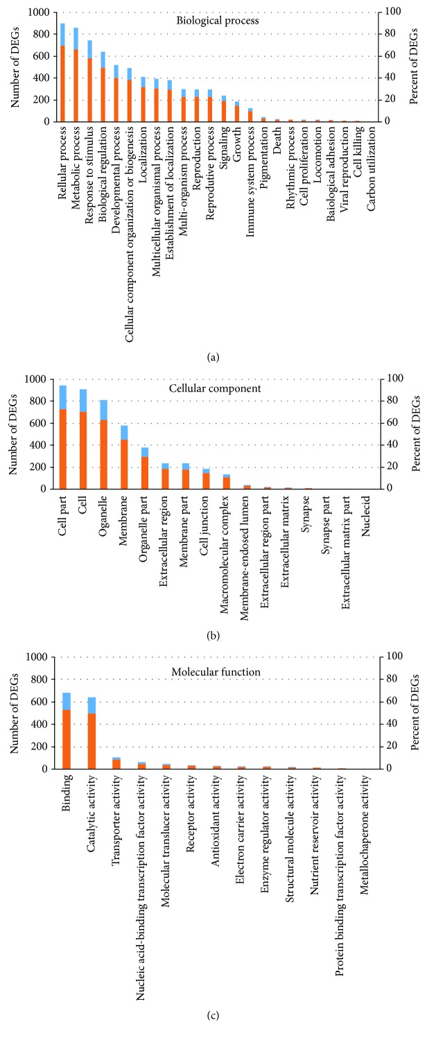 Gene Ontology (GO) enrichment of differentially expressed genes (DEGs) in drought-stressed hemp. The results are summarized in three main categories: biological processes (a), cellular components (b), and molecular functions (c). The blue (corresponding to the left y-axis) and orange columns (corresponding to the right y-axis) represent the number and percent of DEGs in that category, respectively.