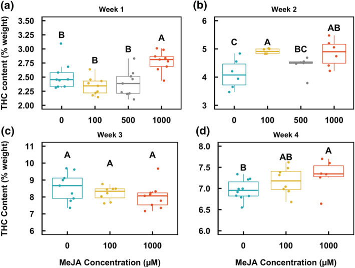 THC content in White Tangy Haze flowers over the period of 4 weeks (a–d) following application of MeJA. The box whiskers indicate variability outside the upper and lower quartiles (the upper and lower lines of the box) (n = 3). Different letters indicate statistical significance (P < .05) determined by one‐way ANOVA followed by Fisher's LSD. Percentage data were arcsine transformed prior to statistical analysis. The untransformed data are presented