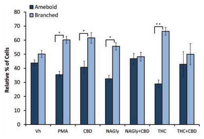 Amoeboid versus branched phenotypes. Vehicle (0.1% DMS0), 10 nM PMA, 10 nM NAGly, 100 nM CBD, 10 nM NAGly + 100 nM CBD, 10 nM Δ9-THC, 10 nM Δ9-THC + 100 nM CBD. n = 5–15. *p < 0.05, **p < 0.01 (One-way ANOVA).
