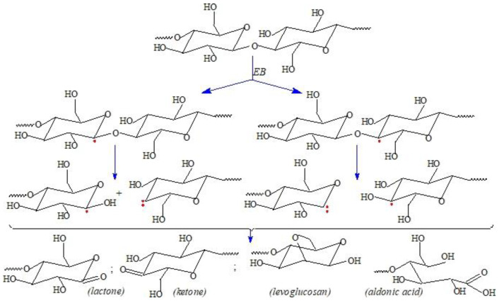 Proposed degradation mechanisms for cellulose.