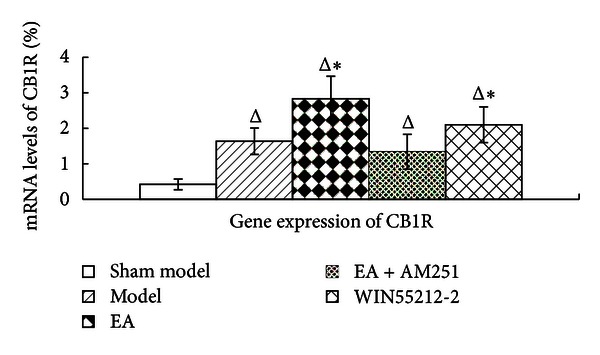 CB1 receptor gene expression in the corpus striatum in rats in the indicated groups. The data are presented as mean ± SD (n = 5). FQ-PCR, fluorescence quantitative-polymerase chain reaction. Δ P < 0.05 versus sham-model group at the same time-point. *P < 0.05 versus EA + AM251 group at the same time-point.