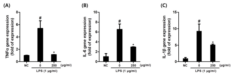 Effect of C. sativa L. callus extract CCE treatment on gene expression of pro-inflammatory cytokine in LPS-stimulated macrophages. (A) TNF-α. (B) IL-6. (C) IL-1β. The results are presented as the means ± SDs. # p < 0.05 versus untreated controls, and * p < 0.05, versus LPS-treated RAW264.7 cells.