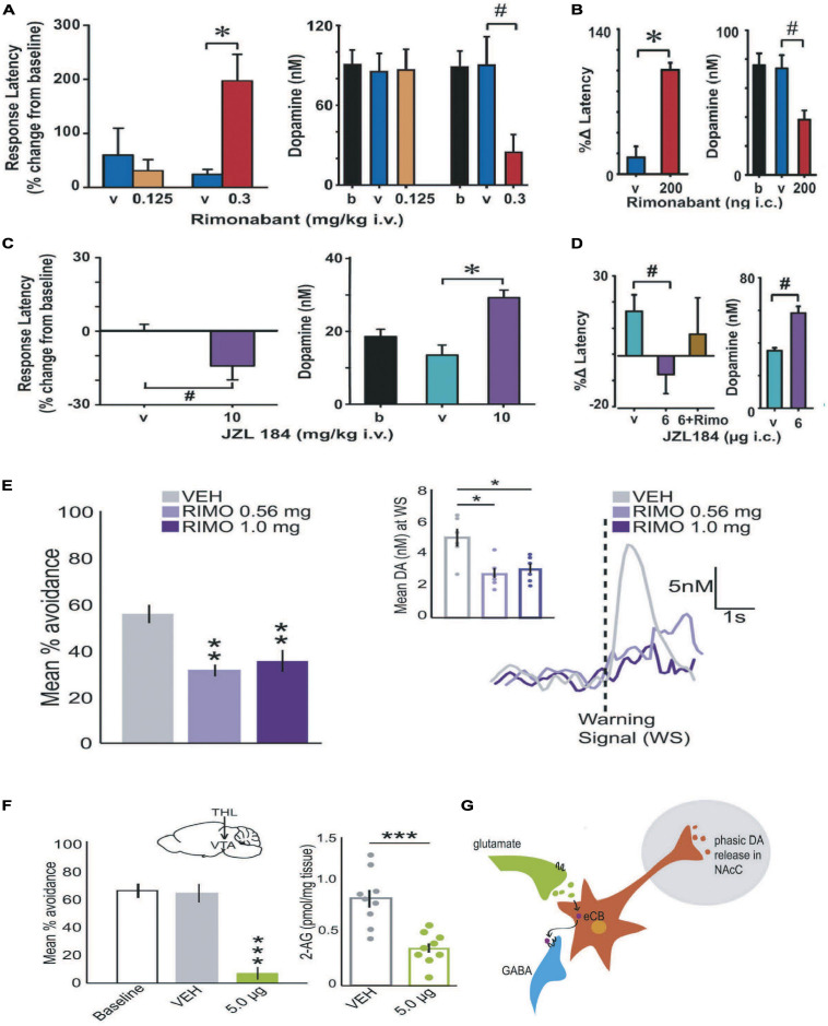 Cannabinoids modulate DA value signals during positive and negative reinforcement maintained under an FR schedule. Positive reinforcement: Systemically treating (intravenous; IV) rats with the cannabinoid receptor antagonist rimonabant increased the latency to respond for brain stimulation reward and decreased the concentration of cue-evoked DA value signals (A). Intrategmental infusions (IC) of rimonabant recapitulated these effects on reward seeking and DA release, demonstrating that eCB modulation of DA neural activity in the VTA is alone sufficient to modulate DA release and positive reinforcement (B). Systemically increasing 2AG levels by pre-treating rats with JZL184 (IV) reduced the latency to respond for brain stimulation reward and increased the concentration of cue-evoked DA value signals (C). Intrategmental infusions (IC) of JZL184 recapitulated these effects, suggesting that the action of 2AG in the VTA is alone sufficient to modulate DA release and positive reinforcement (D). Negative reinforcement: Systemic rimonabant administration (IV) reduced the number of successful avoidance responses and the concentration of DA evoked by the warning signal (E). Inhibiting DAGL-induced synthesis of 2AG by infusing THL into the VTA decreased avoidance and reduced 2AG tissue content in the VTA (F). Taken together, these observations generally support a DSI-model of 2AG-modulation of DA value signals (G) during positive and negative reinforcement maintained under an FR schedule. Republished from Oleson et al. (2012) and Wenzel et al. (2018). # < 0.05; **p < 0.001; ***p ≤ 0.001.