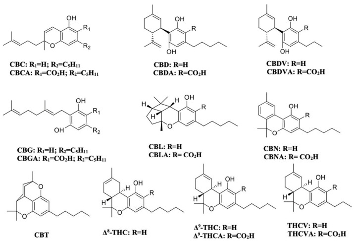 Chemical structures of the eighteen cannabinoids investigated in this study.