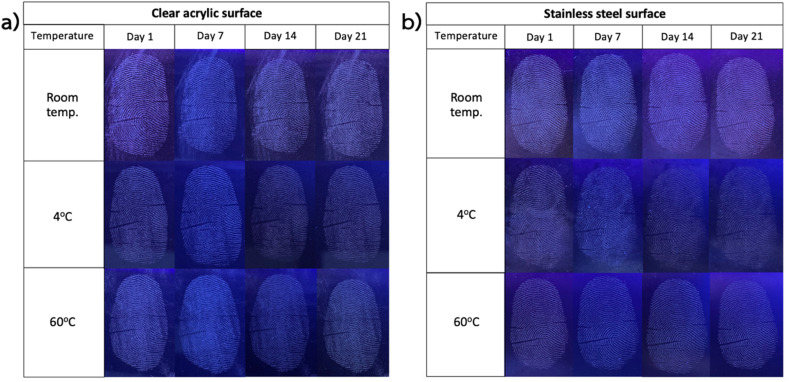 Photographs showing the effect of storage temperature on latent fingerprint detection using HC-CQDs-CNF-Chi/starch powder on (a) a clear acrylic surface and (b) a stainless-steel surface.