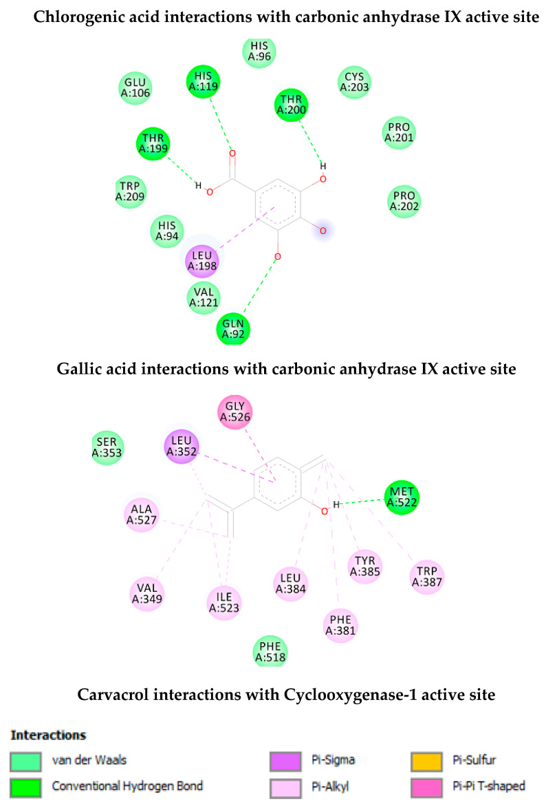 Non-bonding interactions of the docked compounds.