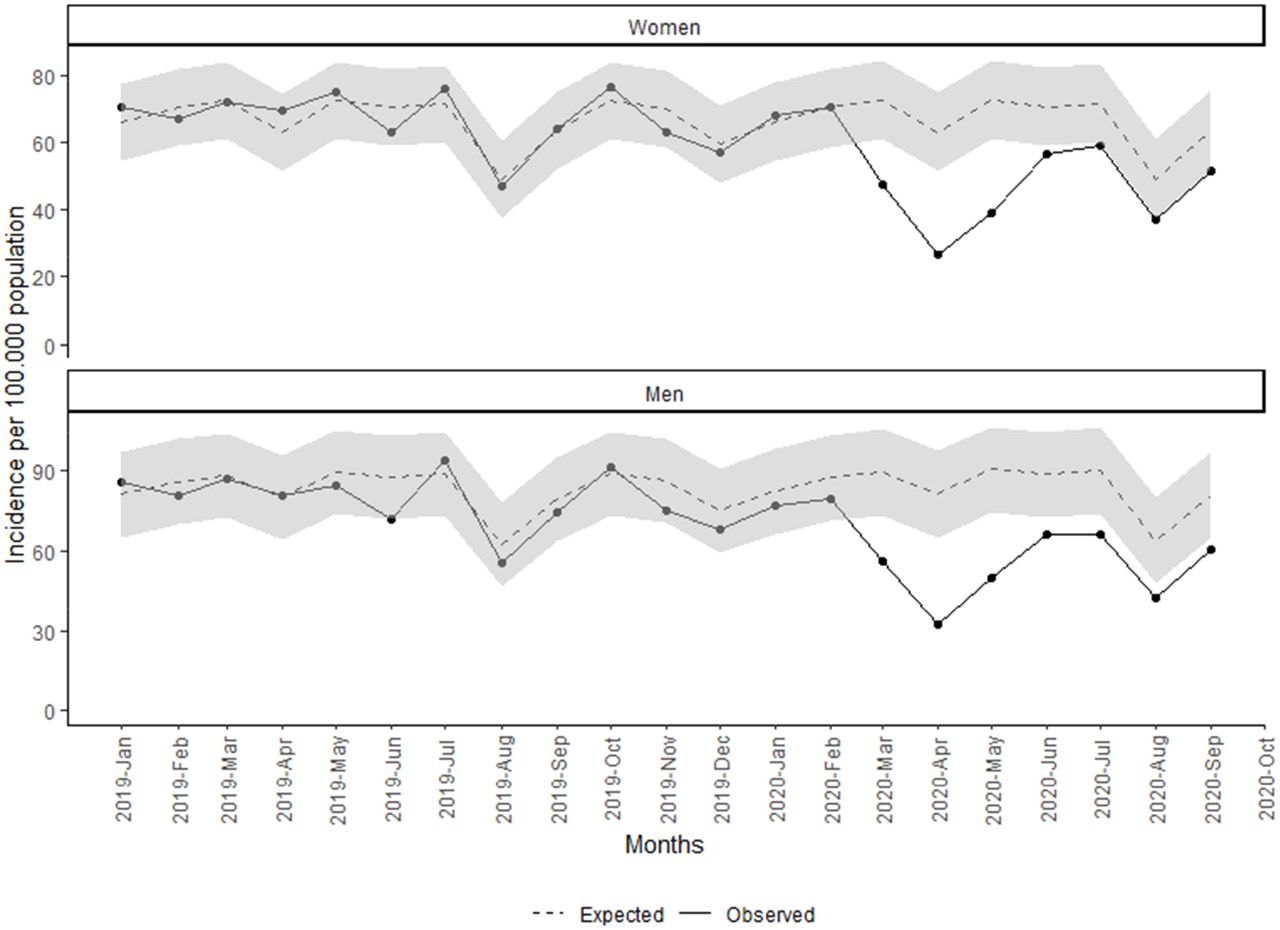 Monthly incidence of malignant neoplasm since January 2019 by sex