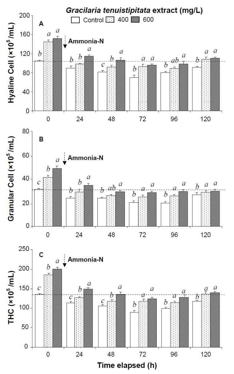 (A) Hyaline cells; (B) granular cells (including semi-granular cells); and (C) total hemocyte count (THC) of white shrimp Litopenaeus vannamei immersed in seawater containing Gracilaria tenuistipitata extract at 0 (control), 400, and 600 mg/L for 3 h and then exposed to 5 mg/L ammonia-N for 24, 48, 72, 96, and 120 h. Each bar represents the mean value from eight determinations with the standard error (SE). Data (mean ± SE) with different letters are significantly different (p < 0.05) among treatments.