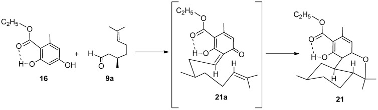 Reaction mechanism for the condensation between resorcinol derivative 15 and aldehyde 9a followed by the intramolecular Diels–Alder reaction.
