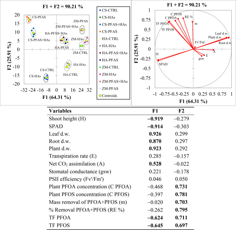 Principal component analysis biplots display treatment groups for plant and soil interactions with PFAS and humic acids along F1 and F2 axes, with vectors indicating variable contributions. Corresponding table ranks measures such as shoot height, leaf and root dry weight, and PFAS concentrations by their F1 and F2 values.