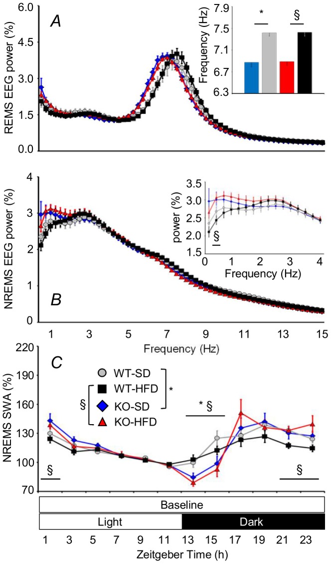 Electroencephalographic (EEG) rhythms during sleep in KO and WT mice.Panels A and B show EEG power spectral density in all REMS and NREMS epochs during the 48-hour baseline recordings expressed as a percentage of the respective total EEG spectral power. The inset in A shows the frequency of the EEG spectral peak. The inset in B shows magnification of NREMS spectral power at frequencies <4 Hz. Panel C shows power in the delta frequency range (1–4 Hz, EEG slow-wave activity, SWA) during NREMS in baseline conditions. EEG SWA was normalized to values in the last 4 hours of the light period. Data are means ± SEM in KO and WT fed SD or HFD, with n = 9–10 per group. Abbreviations and symbols have the same meaning as in Figure 2.