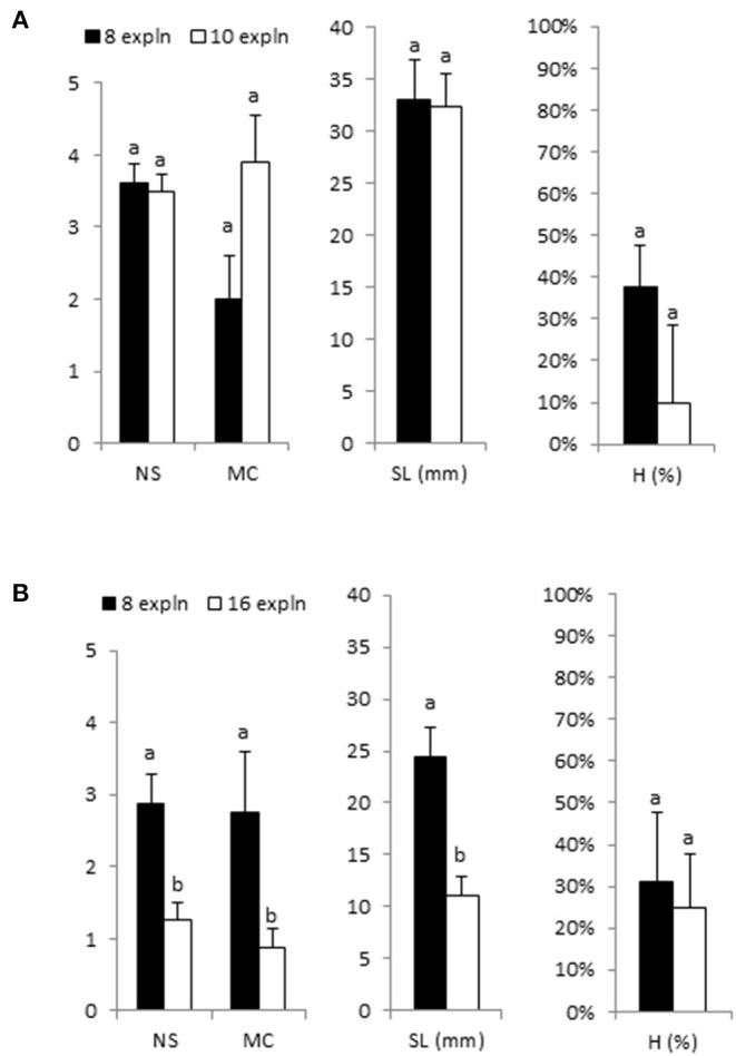 Effect of initial explant number (8, 10, and 16 apical sections) on growth parameters of shoots of Beatriz (A) and Mati (B) genotypes cultured in RITA® vessels in MS medium with half-strength nitrates and 2-μM metatopoline. The explants were immersed for 1 min every 8 h. The data were recorded after 4 weeks of culture. The values represent the mean ± standard error. For each variable, different letters indicate significant differences at p < 0.05. NS, number of shoots per explant; MC, multiplication coefficient; SL, length of the longest shoot (mm); H, percentage of hyperhydric shoots.