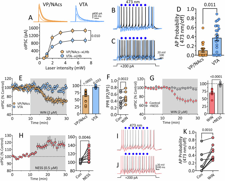 Relative strength of inhibition of LHb neurons by VTA and VP/NAcs afferents and sensitivity to cannabinoids in vitro.A Relationship between 473 nm laser power (single -pulses, 2 ms duration) and oIPSC amplitude in LHb neurons from wildtype rats injected with AAV-ChR2 in either VTA or VP/NAcs. VP/NAcs inputs to LHb generate significantly larger oIPSCs than those from VTA. B, C Action potentials (AP) generated by injection of +200 pA (1 s) currents in LHb neurons. Waveforms in gray were recorded without activation of VP/NAcs or VTA inputs, whereas AP wave forms shown in blue were recorded during stimulation of ChR2 by 473 nm light (blue circles) at VP/NAcs (B) or VTA (C) inputs (1 s photostimulation train = seven-2 msec duration pulses delivered at 7 Hz at 145 ms intervals during LHb neuron depolarization). D Summary of effect of activation of VP/NAcs (n = 18) or VTA (n = 24) LHb input by ChR2 on the probability of AP discharge. Activation of either input significantly reduced AP probability, but the VP/NAcs input was significantly more effective at silencing LHb neurons t40 = 3.526, p = 0.011, (unpaired t test). E Effect of bath application of the cannabinoid agonist WIN55212-2 (WIN, 2 µM) on oIPSCs evoked by ChR2 at VP/NAcs (n = 18 cells) or VTA (n = 8 cells) inputs to LHb neurons. Whereas WIN had a small effect on IPSCs from VTA input, the effect on VP/NAcs input was significantly larger (p = 0.0001, t test). The Y-axis title for bar graph is the same as time course. (F). WIN significantly increased the paired-oIPSC ratio (PPR) at VP/NAcs inputs to LHb, indicating a presynaptic effect (paired t test, t7 = 4.7, p = 0.022). G Preincubation of LHb cells with the neutral CB1R antagonist NESS 0327 (NESS) prevents the inhibition of VP/NAcs oIPSCs in LHb (one-sample t test, WIN = t7 = 6.76, p = 0.0003; WIN + NESS = t7 = 1.16, p = 0.284). Left and right graph share y-axis. H CB1R antagonism by NESS reveals tonic eCB suppression of VP/NAcs oIPSCs in LHb neurons. Left and right panels share y-axis label. I AP waveforms generated by current injection with ChR2-activation of VP/NAcs inputs (red) or without ChR2-activation (gray) in control aCSF. J AP waveforms recorded with and without ChR2-activation of VP/NAcs inputs to LHb during WIN application. K AP probability before (gray circles) and during application of WIN (red circles). The reduction of synaptic inhibition by WIN significantly increased AP probability (paired t test, t9 = 4.76, p = 0.001). Number of cells/rats: A VP/NAcs to LHb: 8/5, VTA to LHb, 8/5; (D) VP/NAcs to LHb, 18/13, VTA to LHb, 24/16; (E) VP/NAcs, 8/6, VTA, 8/5; (F). 8/5; (G). WIN alone, 8/5: WIN + NESS, 8/5; (H) 11/8; (K) 10/7.