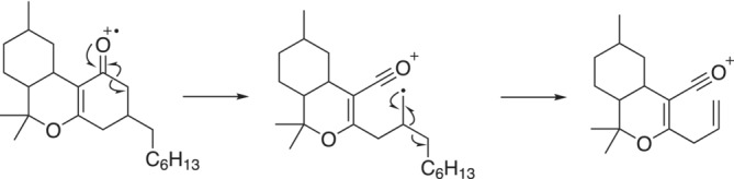 Fragmentation mechanism for the loss of a heptyl radical from compound 4.