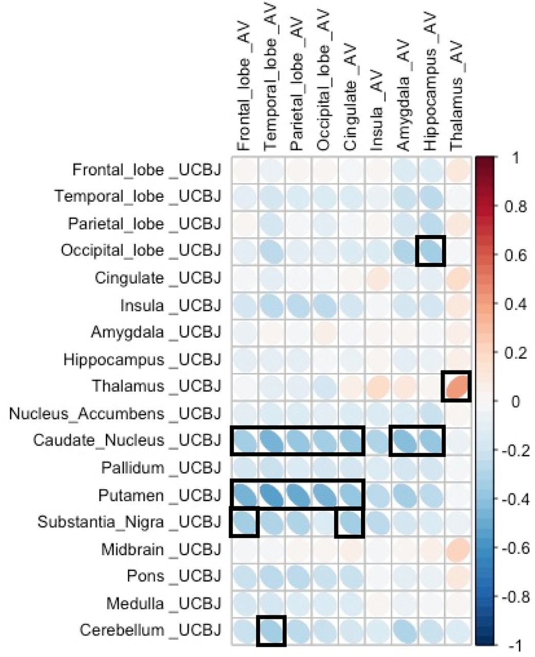 Cortical pathology is negatively correlated with subcortical synaptic density.Correlation between [18F]AV-1451 BPND in cortical regions (horizontal axis) and [11C]UCB-J BPND in a target region (vertical axis) both cortically and subcortically in patients. Significant correlations (at p<0.05 uncorrected for multiple comparisons) are outlined in black.