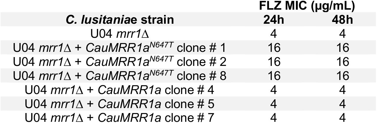 Minimum inhibitory concentration (MIC) of fluconazole (FLZ) for C. lusitaniae U04 mrr1Δ and isogenic strains complemented with either CauMRR1aN647T or CauMRR1a from C. auris