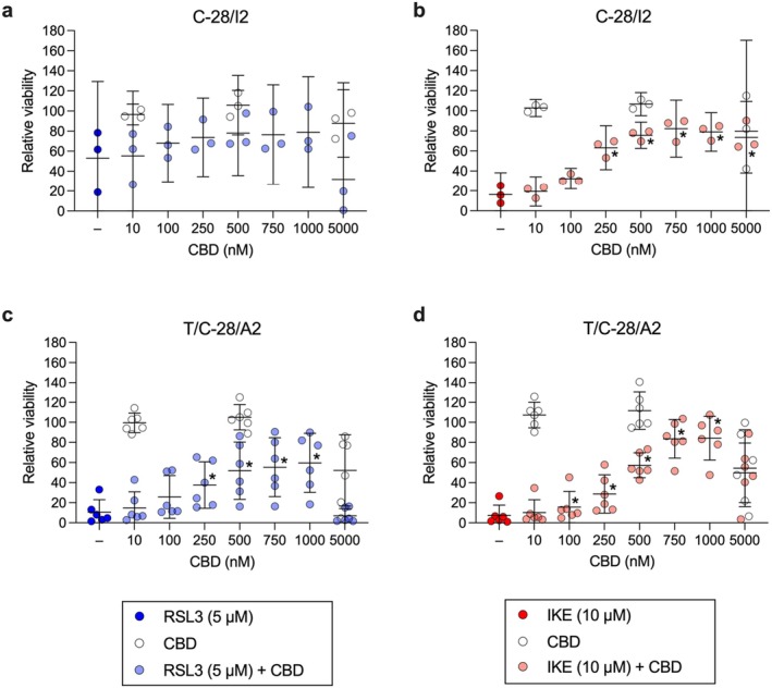 CBD partially inhibits ferroptotic cell death in human articular chondrocytes. Cell viability of C‐28/I2 cells (a, b), T/C‐28/A2 cells (c, d) after 24 h treatment with RSL3 (5 μM; blue symbols) or IKE (10 μM; red symbols) alone or in combination with cannabidiol (CBD) at concentrations ranging from 10 to 5000 nM. Results from cells treated with 10, 500 and 5000 nM CBD alone are depicted as empty symbols. Results of individual resazurin experiments in % of untreated controls (n = 3 and 6 for C‐28/I2 and T/C‐28/A2 cells, respectively) and means (95% CI). RM one‐way ANOVA with Geisser–Greenhouse correction and Dunnett’s multiple comparisons post‐test. *p < 0.05 RSL3 or IKE plus CBD versus RSL3 or IKE alone.