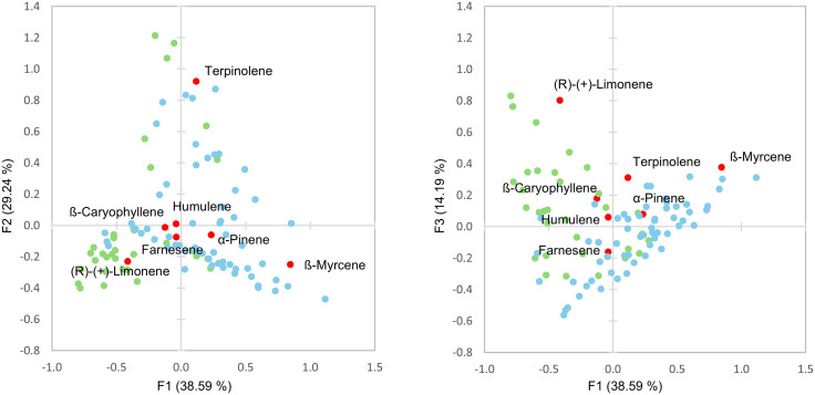 Principal Component Analysis biplot of type III (blue) and type I (green) samples based on terpene chemistry (red).