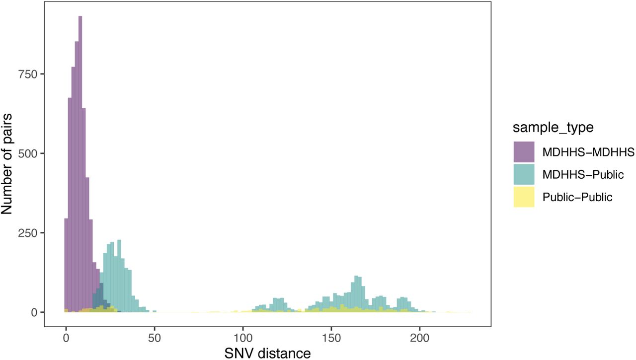 Pairwise distance histogram colored by pair types.Pairwise SNV distances are show for pairs of isolates collected in Michigan (purple), pairs of ST219 isolates downloaded from PATRIC (yellow) and pairs of isolates including one from Michigan and one from PATRIC (green).