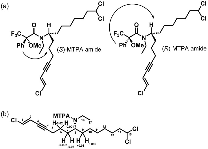 Mosher’s (tertiary amide) analysis of the reduced form of taveuniamide F (4). (a) The deshielding effect of the phenyl group of the MTPA on the corresponding side chains of the stereogenic center. The Z-amide configuration is depicted since it is determined to be the more stable isomer based on DFT calculations. (b) ∆δS-R defining the configuration of taveuniamide F (4) as R.