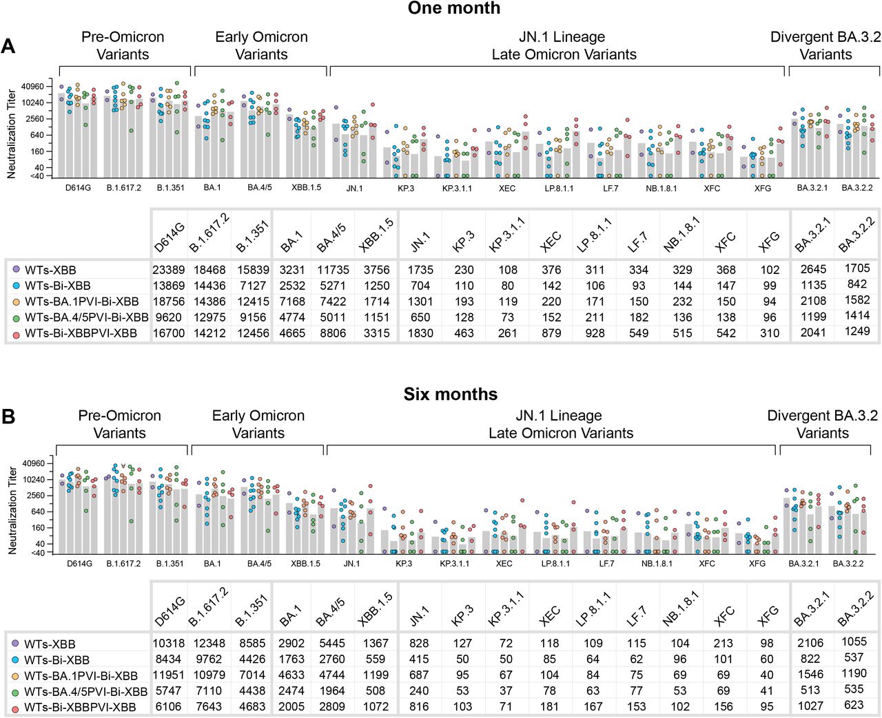 Neutralizing antibody responses in subjects with different prior exposure histories following XBB.1.5 vaccination.(A) Serum neutralization titers against SARS-CoV-2 variants at one month post-XBB.1.5 vaccination across different exposure groups. (B) Serum neutralization titers against SARS-CoV-2 variants at six months post-XBB.1.5 vaccination across different exposure groups. The tables below each graph summarize the GMTs for each exposure group (sample details in Table1) (rows) across the panel of variants (columns). Neutralization was measured using lentiviral-based pseudovirus neutralization assays. Serum samples with ID50 values below the limit of detection at 1:40 dilution were assigned an ID50 value of 20.