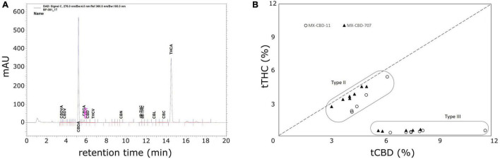 The results of high-performance liquid chromatography (HPLC) analysis of dried inflorescences of breeding populations MX-CBD-11 and MX-CBD-707: (A) A representative HPLC chromatogram showing the retention times of various cannabinoids from MX-CBD-707/plant 41; (B) total cannabidiol (tCBD) and total tetrahydrocannabinol (tTHC) contents (in % w/w) in all 24 analysed cannabis plants. Each dot represents the measurements of one inflorescence per plant.