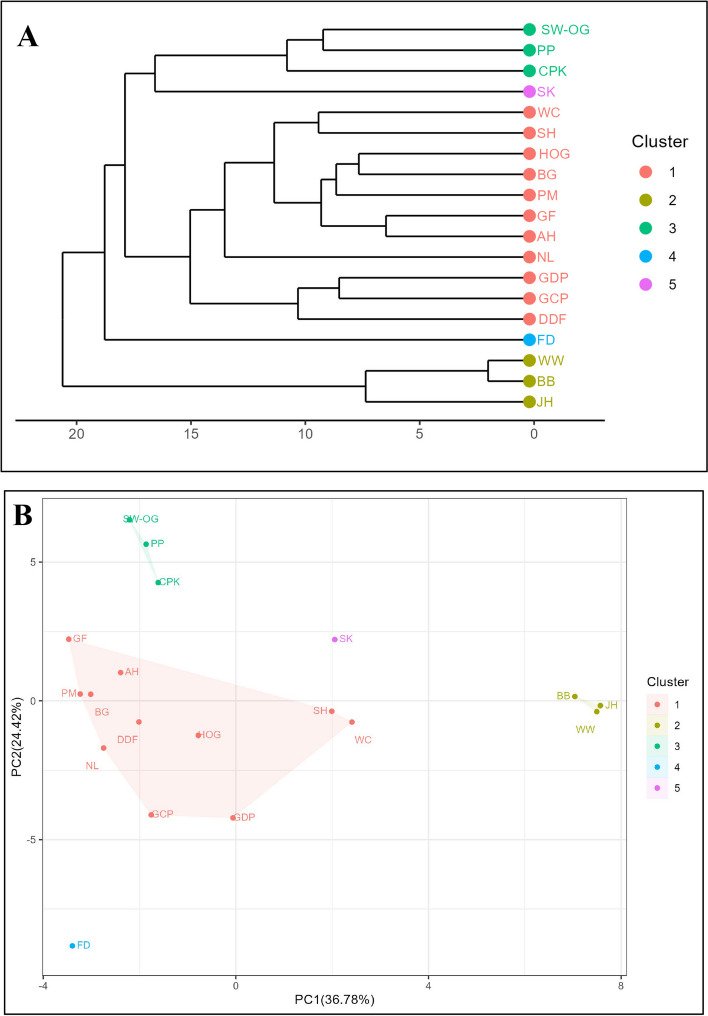 A Dendrogram of HCA of 19 dried cannabis flowers, presenting five main clusters. B PCA score plot of 19 dried cannabis flowers according to their volatiles data