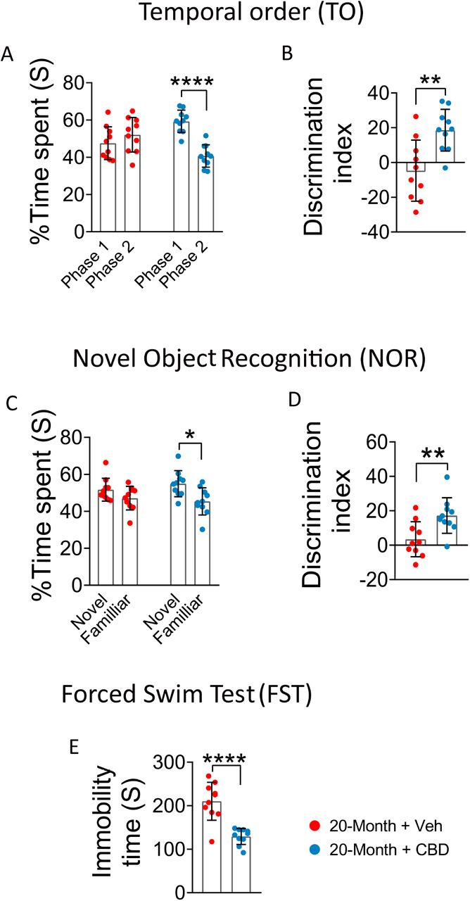 CBD improves age-related cognitive deficits across multiple behavioral paradigms.TO task: 20-Month + Veh group of mice exhibited a significant reduction in preference for the Phase 1 object, CBD treatment partially restored TO performance in aged mice (A), which was further validated by a lower DI (B). NOR task: Aged mice demonstrated a significant decrease in novelty preference, CBD treatment enhanced recognition memory in aged mice (C), reflected in reduced DI (D). FST: Aged mice showed increased depressive-like behavior, while CBD treatment significantly reversed these effects in aged mice (E). Data are presented as mean ± SEM and analyzed using unpaired t-test. *p < 0.05, **p < 0.01, ****p < 0.0001. N = 10 mice per group. TO: Temporal Order; NOR: Novel Object Recognition; DI: Discrimination Index.