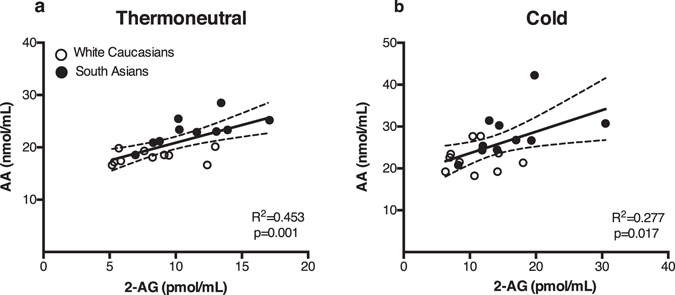 Plasma 2-AG levels correlate with plasma AA levels. Scatterplot of the correlations between plasma 2-AG and AA in both Caucasian and South Asian individuals (n = 40). Correlation is shown for the total group combined under thermoneutral (a) and cold conditions (b), black circles are South Asian individuals and white circles are white Caucasian individuals, with 95% confidence limits. Correlations were analysed using linear regression analysis.