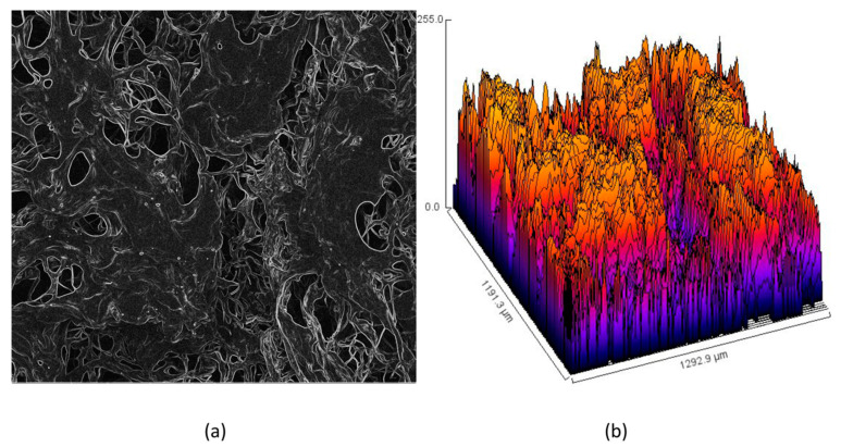(a) Curvature of the chitosan hydrogel; and (b) roughness of the chitosan hydrogel.