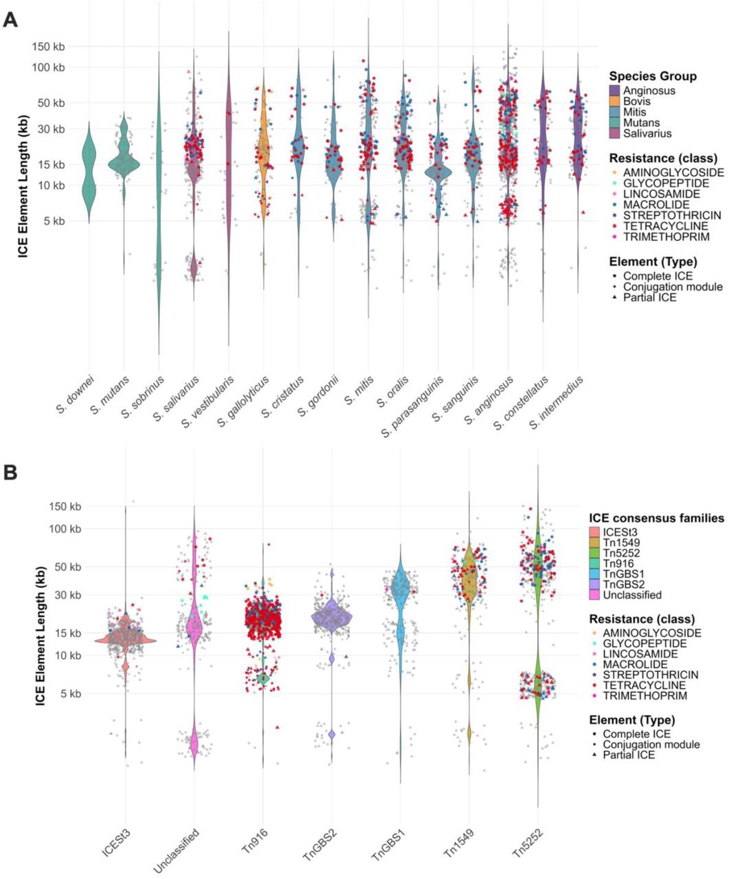Complete ICE, partial ICE and conjugation module distribution across the genomes surveilled in the study.(A) Size distribution of each identified integrative and conjugative element across different species. Each dot represents an element with an identified ARG causing resistance and classified as either ARG-inside or ARG-proximal depending on if the ARG was identified within the boundaries of the ICEs SPs or outside but within 20kbps from the non-integrase edge of the element. (B) Size distribution of each identified integrative and conjugative element across different subfamilies. Each dot represents an element with an identified ARG causing resistance and classified as either ARG-inside or ARG-proximal depending on if the ARG was identified within the boundaries of the ICEs signature proteins or outside but within 20kbps from the non-integrase edge of the element.