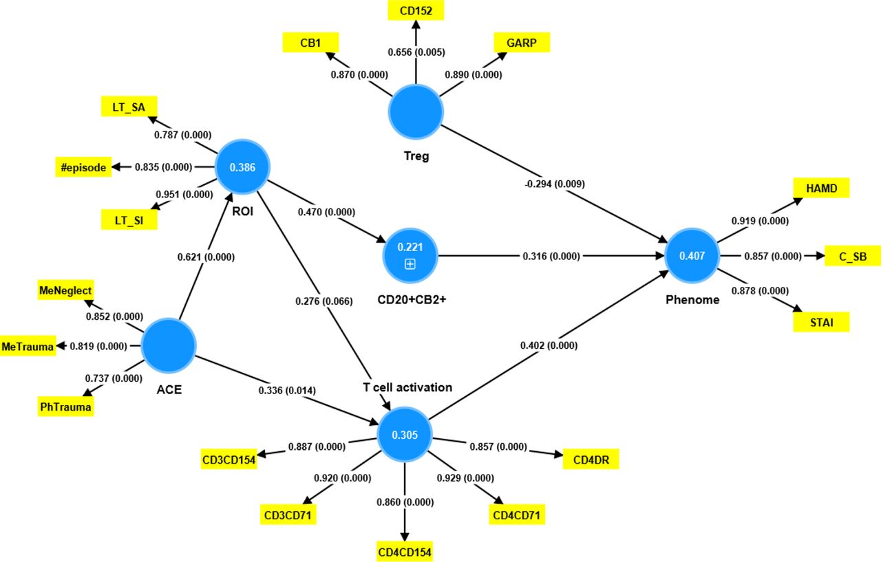 Results of Partial Least Squares (PLS) Analysis. This model examines the combined effects of CD20+CB2+ % (entered as a single indicator), baseline Treg, and T cell activation on the depression phenome (see Figure 1 how these factors were constructed). This model examines the effects of adverse childhood experiences (ACE) and the recurrence of illness (ROI) on the immune variables. ACE was conceptualized as the first factor extracted from mental neglect (MeNeglect), mental trauma (MeTrauma), and physical trauma (PhTrauma). ROI was conceptualized as the first factor extracted from lifetime (LT) suicidal ideation (SI) and attempts (SA), and number of depressive episodes (#episodes). The results of complete PLS analysis are shown as pathway coefficients (p-values) in the inner model, and loadings (p values) in the outer model; the figures in the blue circles indicate explained variance.