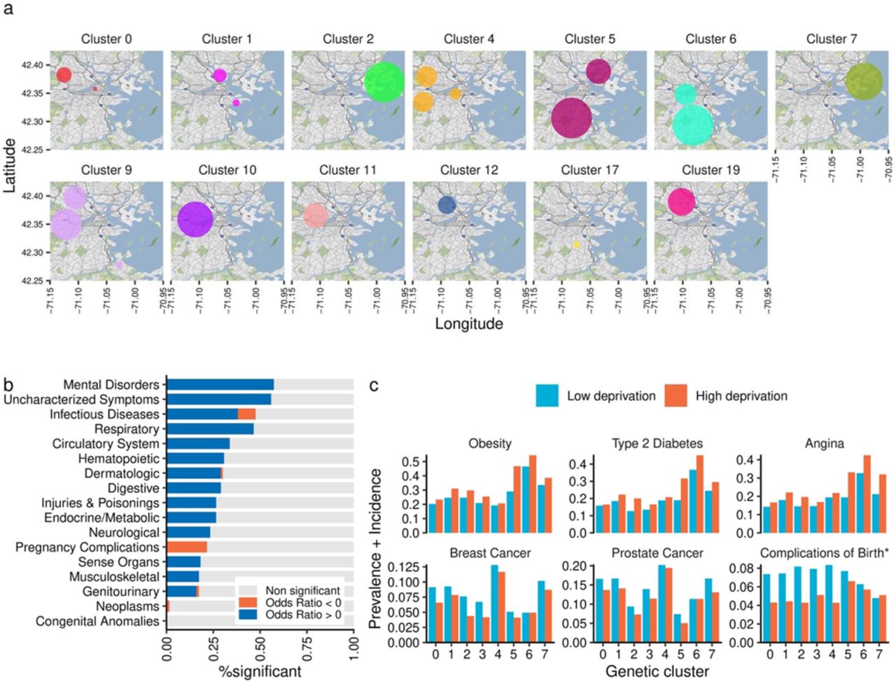 Geospatial distribution, socioeconomic status, and disease risks in MGBBa, Geographical enrichment of genetic ancestries in the greater Boston area. The circle indicates area of significant enrichment of corresponding genetic ancestries. b, We tested the association between the socioeconomic deprivation index (SDI) and 1,564 PheCodes based outcomes (Prevalence + Incidence) in 47,070 MGBB participants. The model was adjusted for age, sex, and the first ten genetic principal components. An association was considered statistically significant if P-value was less 3.2 × 10-5 (0.05/1,564). The color of bars indicated the direction of the effect of SDI (higher SDI suggests higher deprivation). c, The disease frequency (prevalence + incidence) by deprivation status and genetic ancestry. The color of bars indicated deprivation status (higher or lower than the median SDI). Complication of Birth, Other and unspecified complications of birth; puerperium affecting management of mother (PheCode 654).