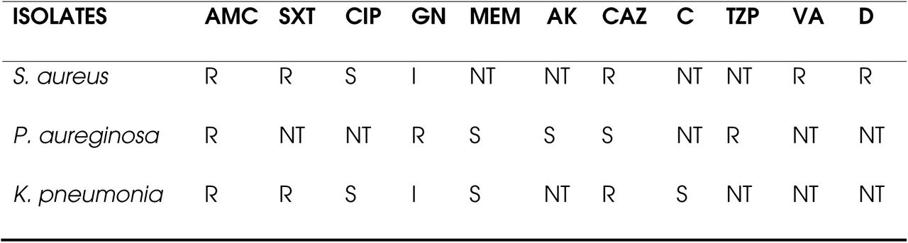 Antimicrobial susceptibility test of gram-negative and positive bacteria from the inanimate surfaces and equipment in pediatric wards at KCMC. Resistance is represented by R while susceptible phenotypes are represented by S.