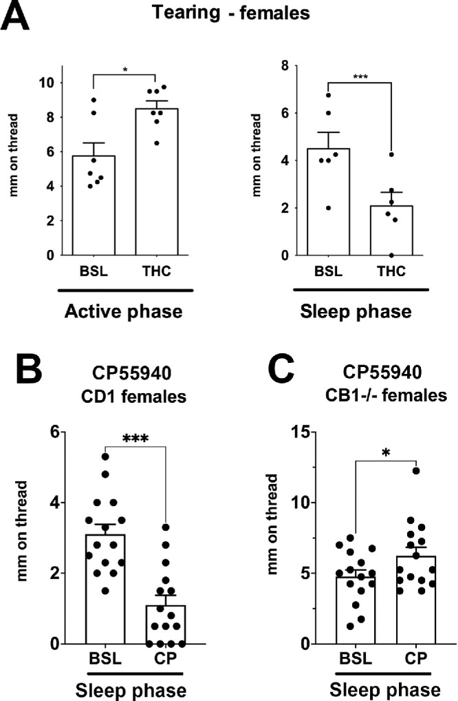 CB1 activation has differential circadian effects on tearing. (A) THC increases tearing in females during their active phase, but during their rest phase, THC reduces tearing (n = 7, 6). (B) CB receptor agonist CP55940 similarly reduces tearing during the rest phase in females (n = 15). (C) CP55940 does not reduce tearing during the rest phase in CB1 knockout females, instead slightly increasing tearing (n = 15). *P < 0.05, ***P < 0.005 by paired t-test versus baseline.