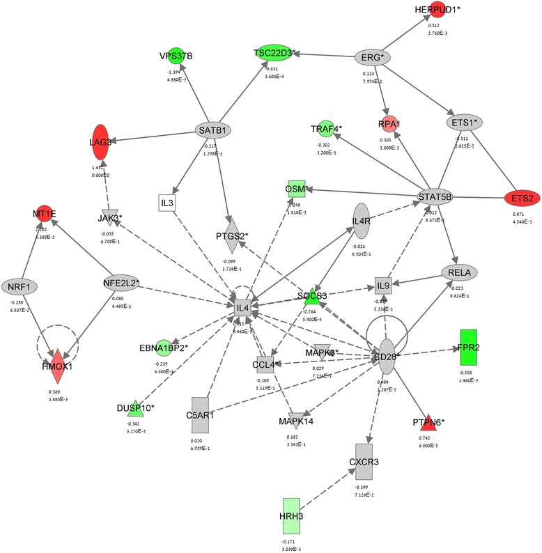 IPA gene network analysis of CBD effect in stimulated TMOG cells—Network 1. Network analysis of the genes which expression is significantly (p < 0.005) affected by CBD in MOG35-55-stimulated TMOG cells was performed using the IPA software as described in Methods. The network display, symbols, and biological relationships between the genes are explained in Fig. 2. Genes in grey were shown in the literature to interact with the colored gene products that appear in the scheme