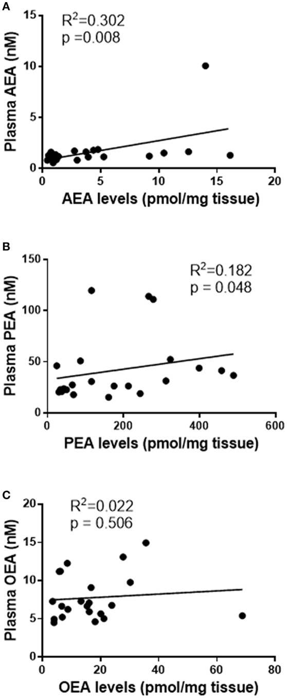 Correlation curves showing the relationships between tissue levels of AEA, PEA, and OEA with plasma concentrations. The relationships between plasma concentrations and tissue levels (n = 22) of AEA (A), PEA (B), and OEA (C) are shown. The indicated R2 and p-values were obtained using Spearman correlation analysis.